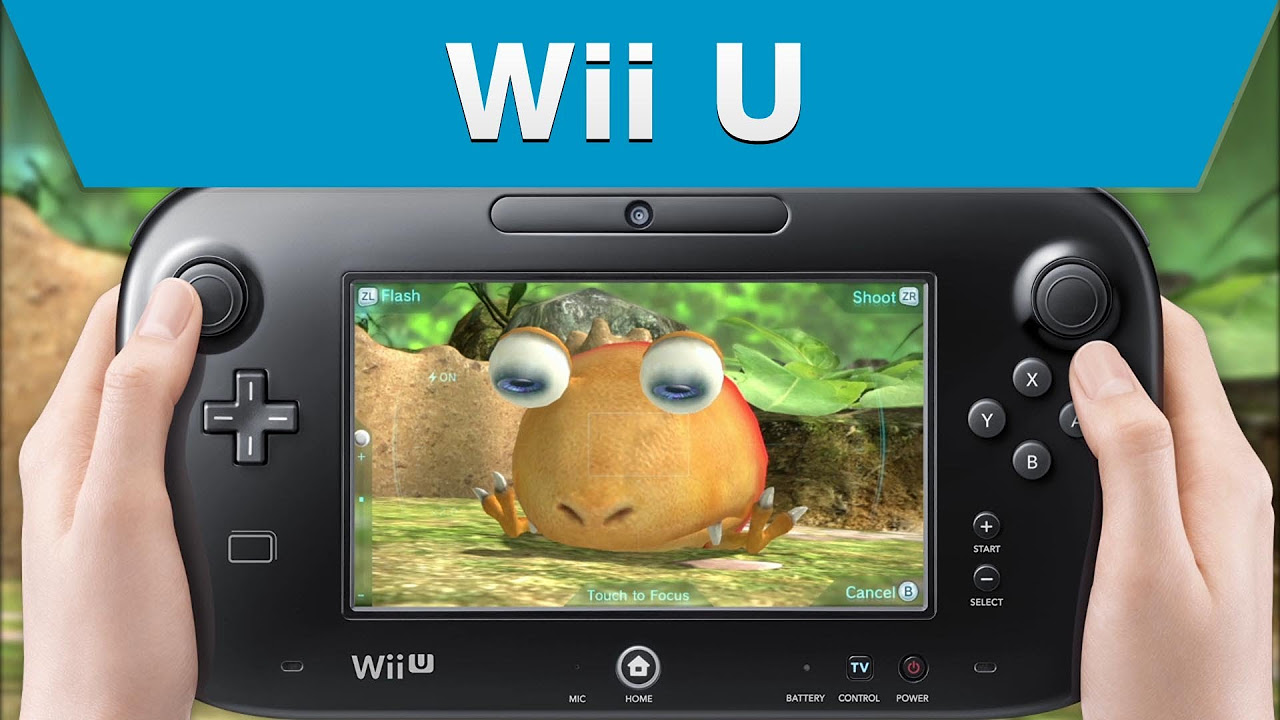 porn for wii