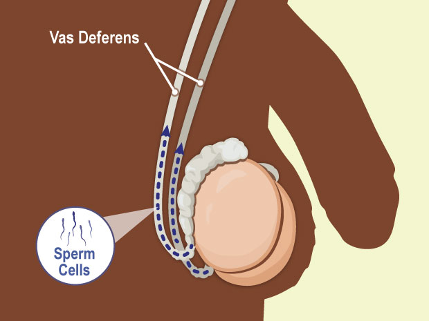 brendan burden recommends cum during prostate exam pic