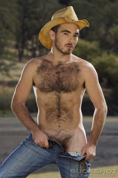 carolina mena recommends Hairy Chested Nude Men