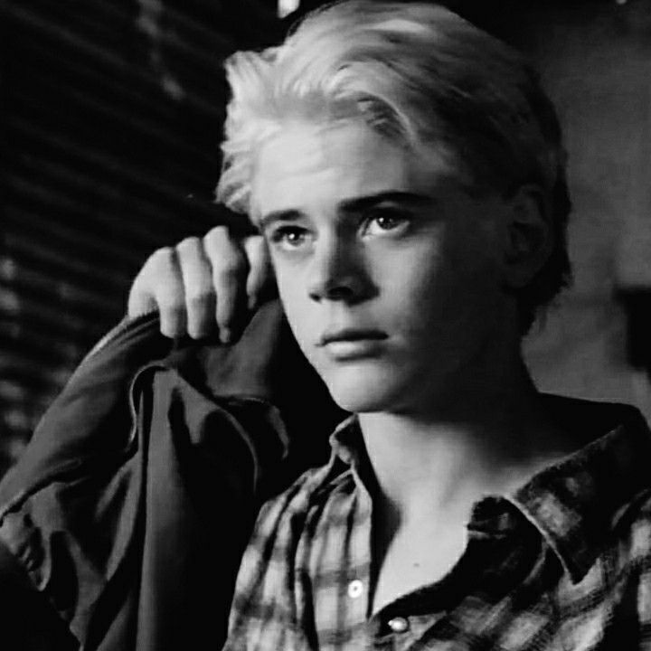 connie profitt recommends blonde ponyboy pic