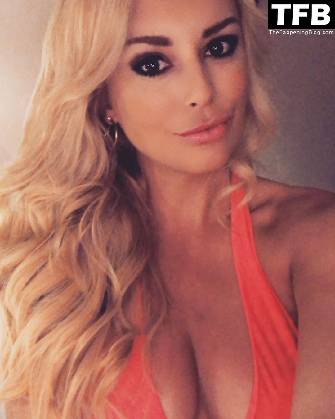 andreea ande recommends britt mchenry nude pic