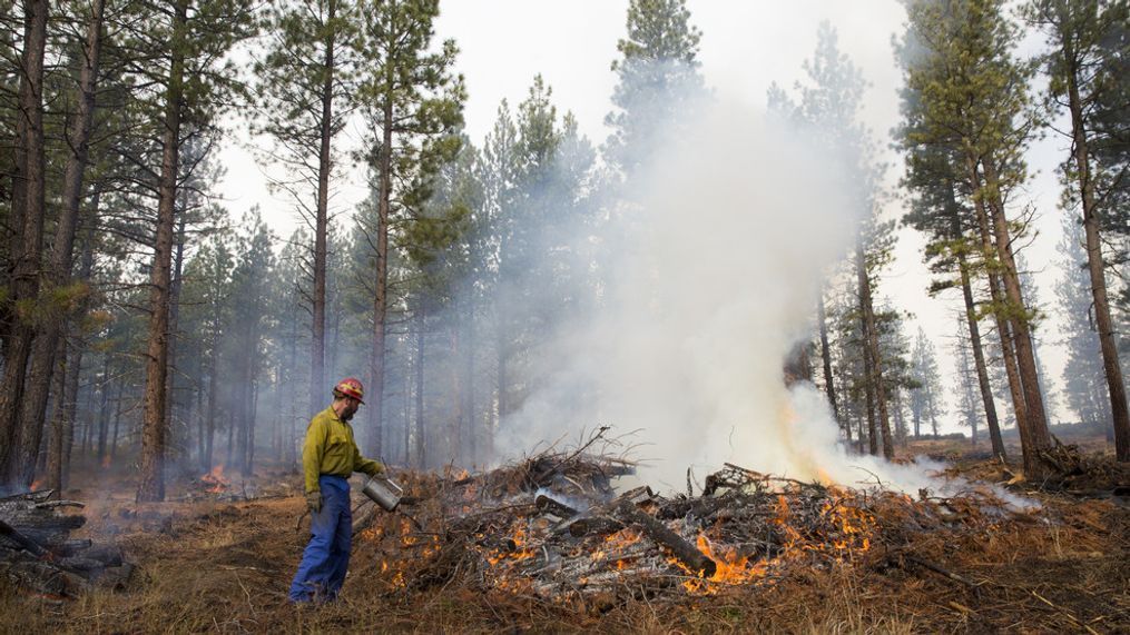 brittany profitt share alexandra wildfire photos