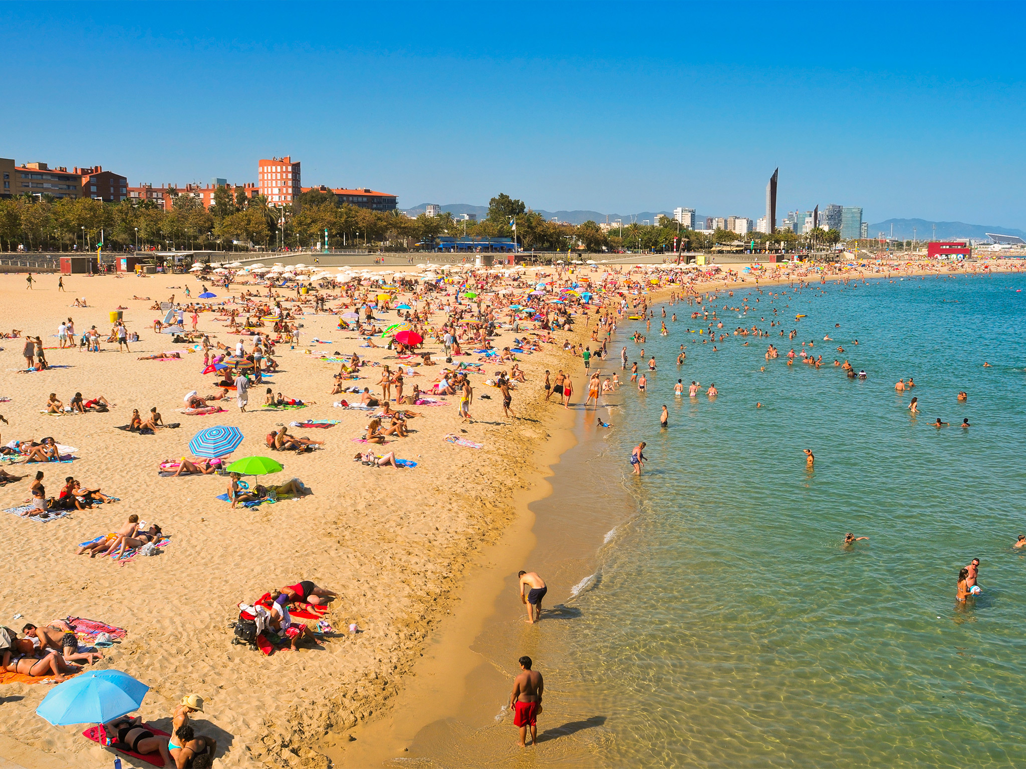 Best of Barcelona beach tits