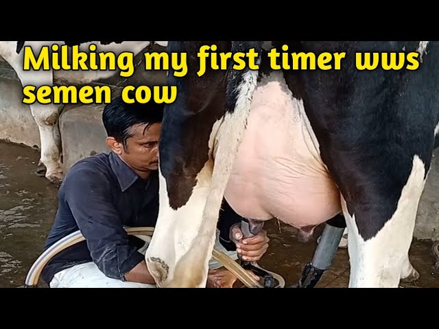 benish azhar add sperm milking photo