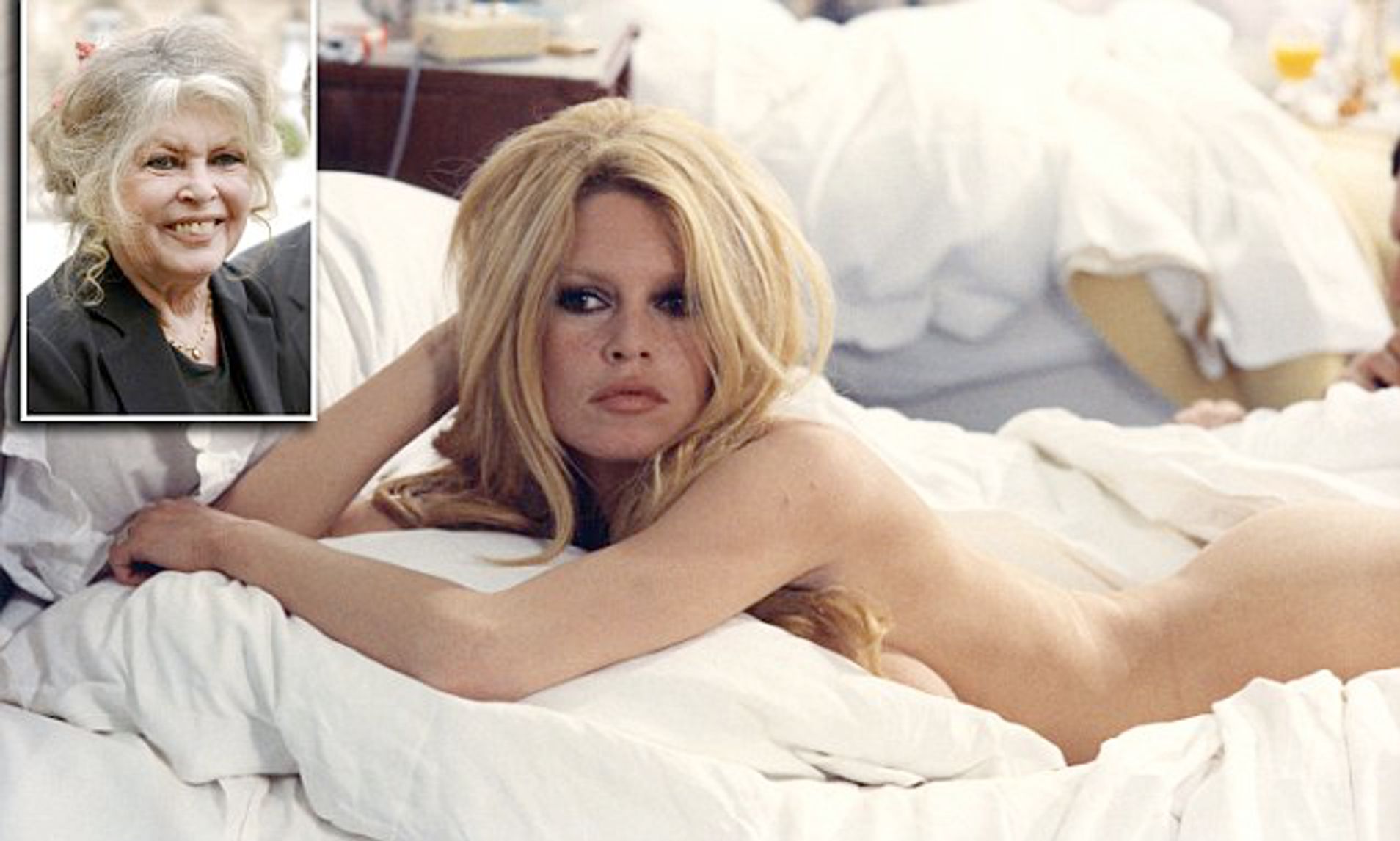 daisy cervantes share brigitte bardot nude photos