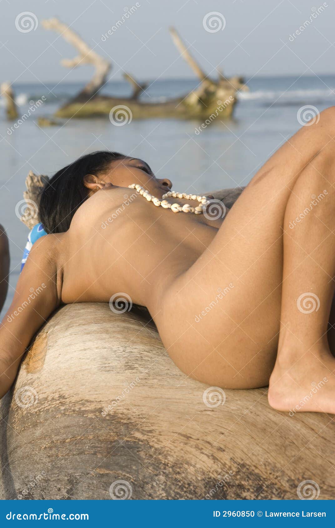 arvind gusain add photo dominican republic nude beach