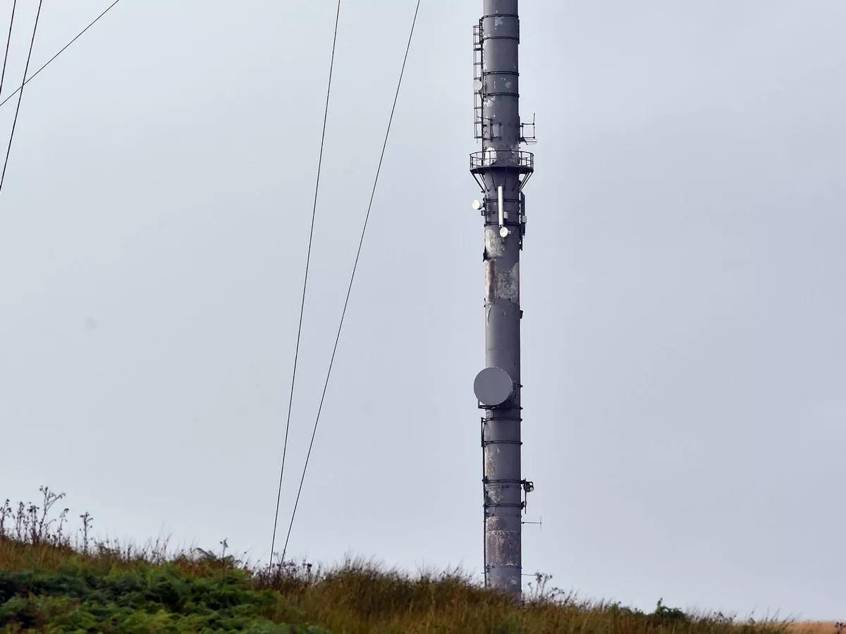 adam genno recommends caught mast pic