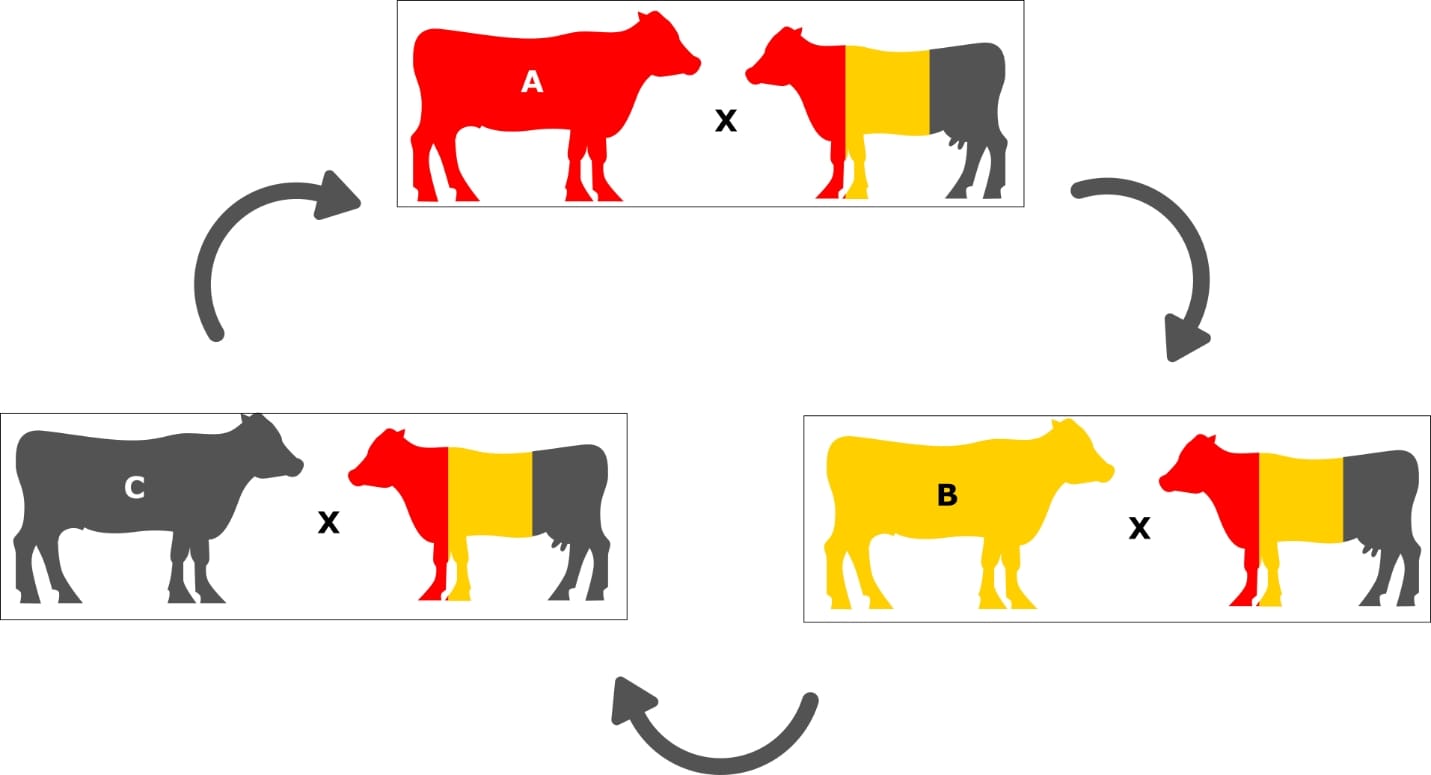 blake weaver recommends crossbreeding assistance pic