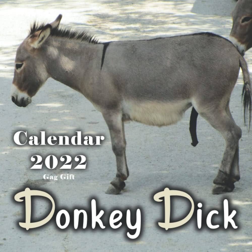 donkey cock porn