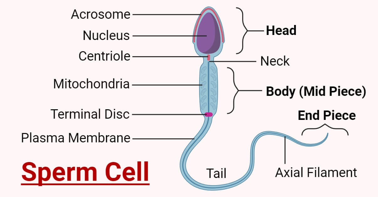 braden bolin add mature sperm face photo