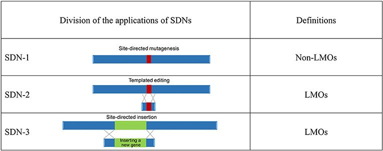 dixie wooten recommends Sdni 001