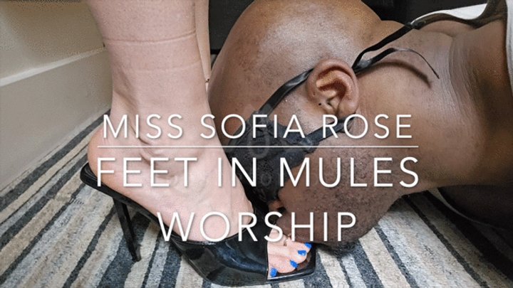 catherine paris recommends Sofia Rose Feet