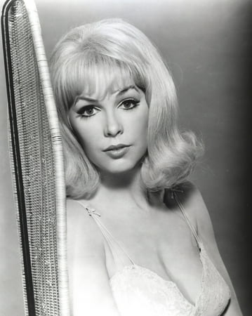 ben jantzi share stella stevens lingerie photos