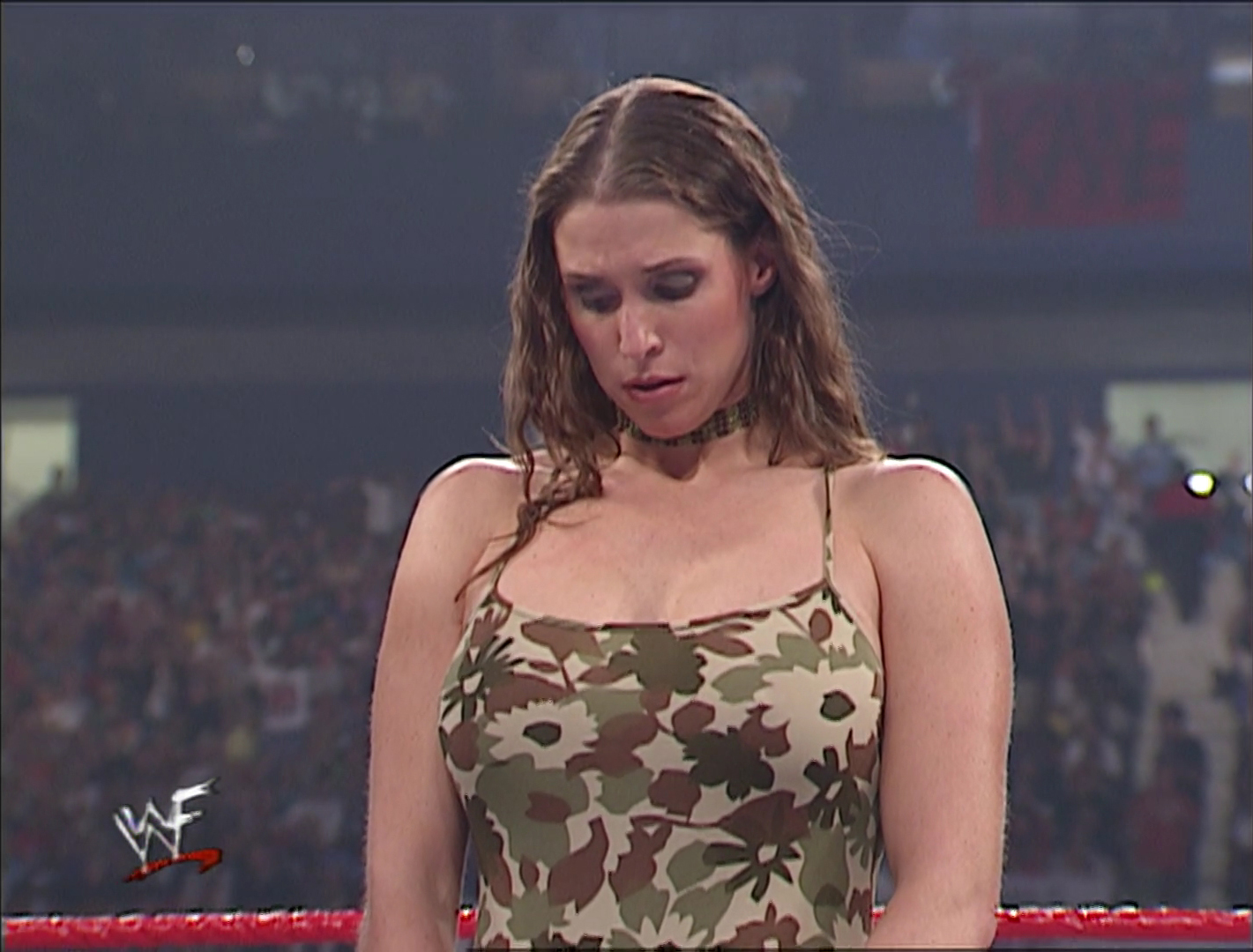 Best of Stephanie mcmahon breast